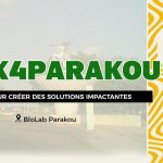 Blolab: Hack4 Parakou